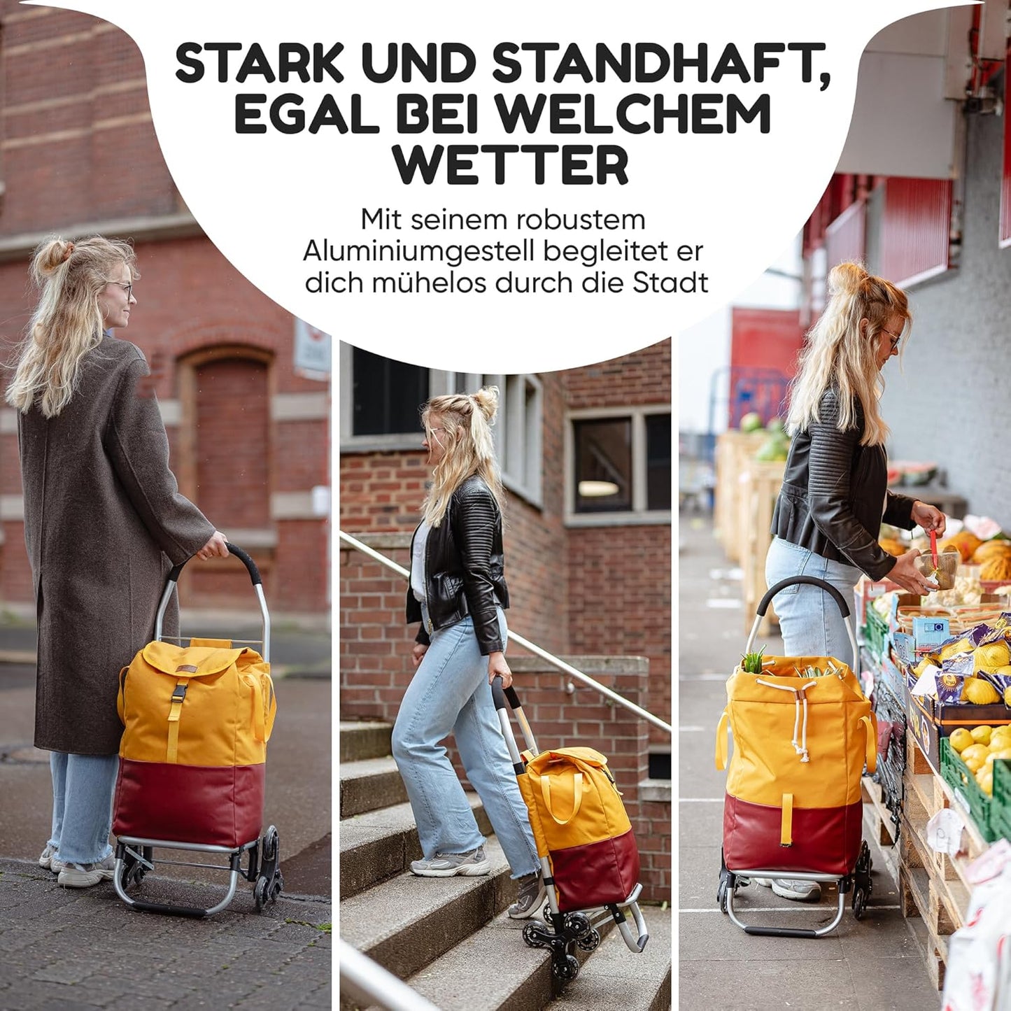 TrayTrol Folding Shopping Trolley with Stair Runner – Shopping without Towing – Shopping Trolley, Trolley Shopper, Shopping Bag Wheels, Hackenporsche, Shopping Trolley Bag